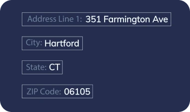 address components parsed into boxes with dark blue backgrounds